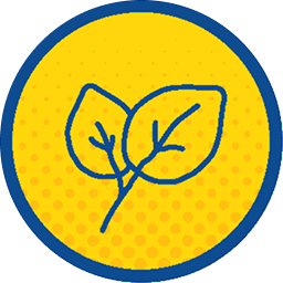 No Artificial Sweeteners